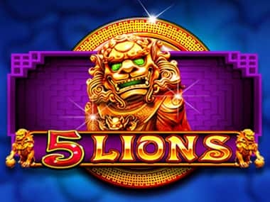 5 Lions